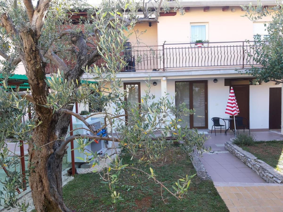 Studio Rocco Novigrad Istria Extérieur photo